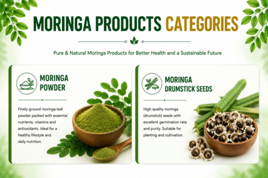 Moringa / Drumstick